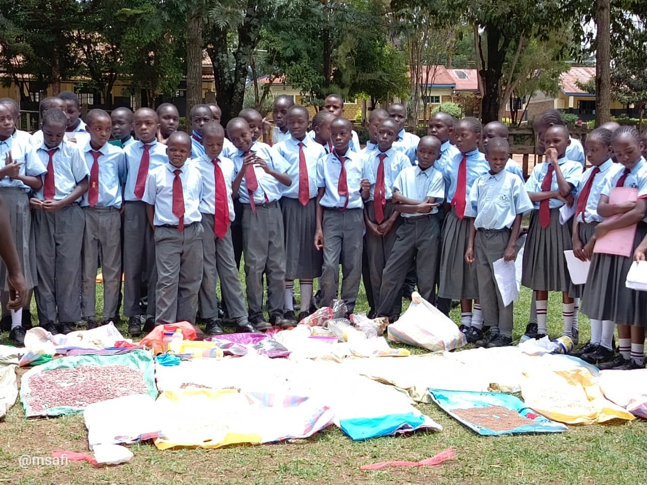 School children in blue uniforms and red ties stand behind sacks of grains outdoors.
